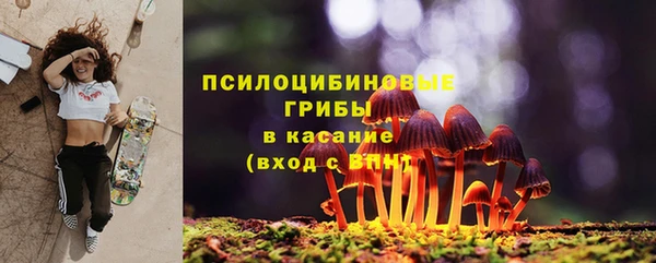 альфа пвп Медвежьегорск